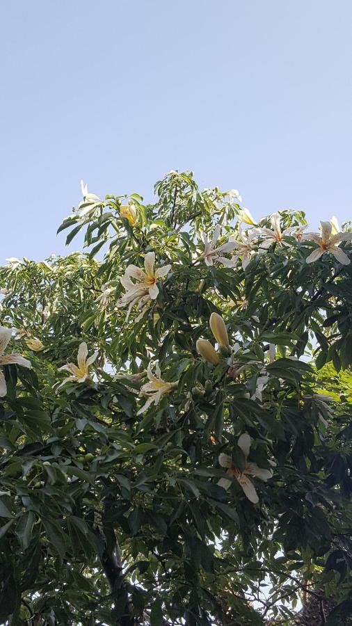 Raggio Di Sole Bed & Breakfast Macari Dış mekan fotoğraf
