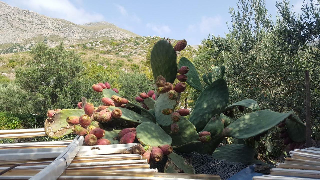 Raggio Di Sole Bed & Breakfast Macari Dış mekan fotoğraf